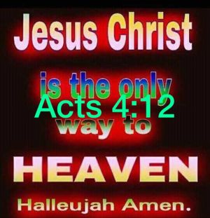 15972494_1414966715201218_4325927119718247657_o